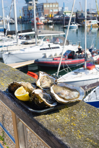 Large fresh oysters in the background of a yacht parking in the Belgian city of Ostend. Seafood. Tasty lunch while traveling. Close-up. photo