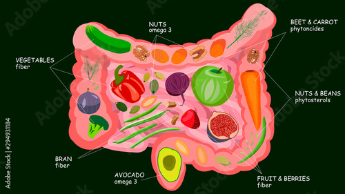 Healthy food for intestinal health. Trace elements and nutrients. Vector illustration isolate on a green background.