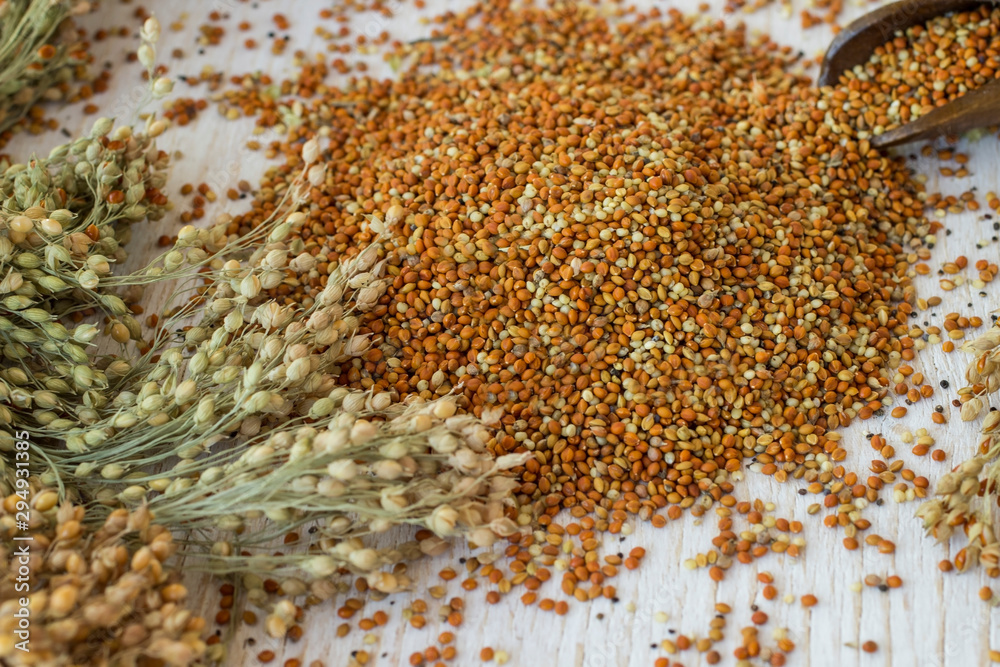 Grains and sprigs of red millet on a white background. Top view. Grains and sprigs of red millet on a white background. Top view.