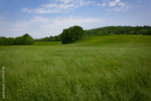 Green Grass on a Rolling Hill Under a Blue Sky
