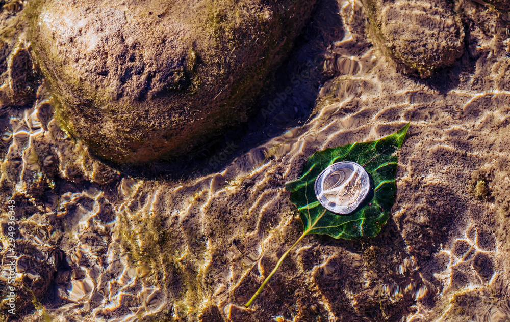 two euro coin on a green fallen leaf under the water of the river high angle view