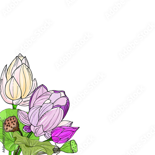 Hand drawing isolated  floral illustration with Delicate lotus flower, leaves, branches and flowers. flower frame. Elements for greeting, wedding card.Sketch, Linart,watercolor imitation photo