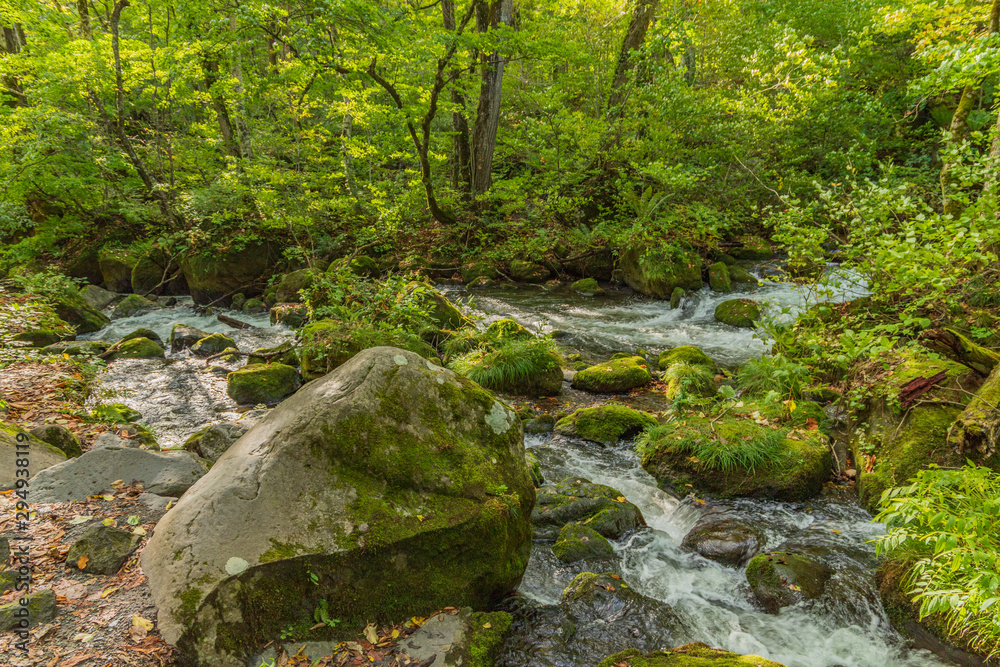 Towada Hachimantai National Park in early autumn Towada Hachimantai National Park in early autumn