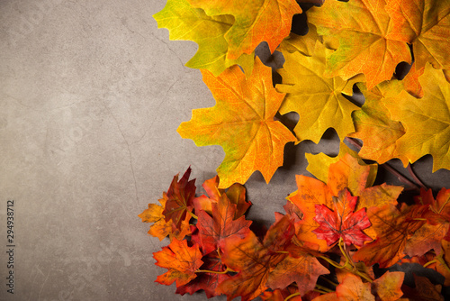 orange and yellow leaves on a light concrete background