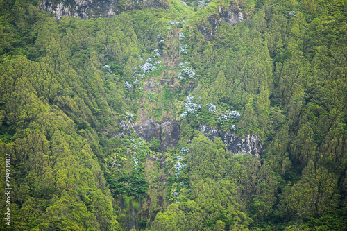 Poco da ribeira do ferreiro, Flores, Azores, Portugal