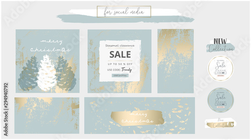 Elegant social media trendy chic gold grey blue