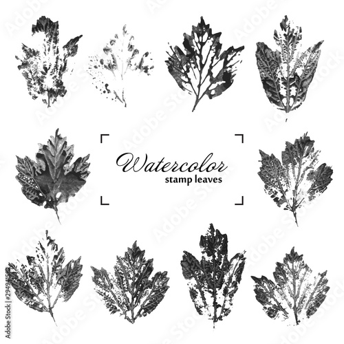 Vector Collection of ink printing leaves isolates on white background.