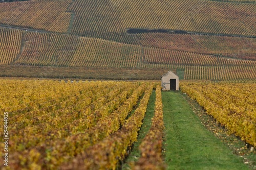 vignoble de Bourgogne, Nuits-Saint-Georges