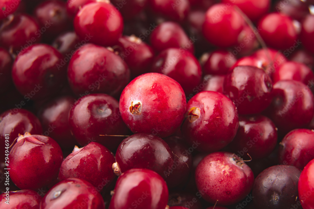Cranberry / Red cranberries / Fresh organic fruits background / Cranberries pattern. Cranberry / Red cranberries / Fresh organic fruits background / Cranberries pattern.