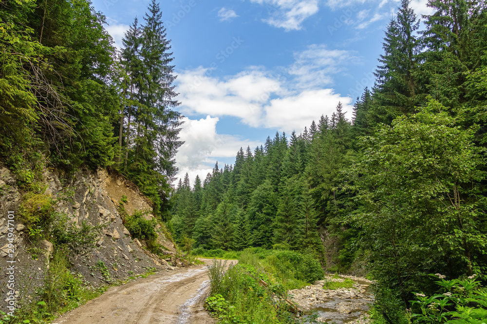 Ukraine, Carpathians. Dirt mountain road along the river.