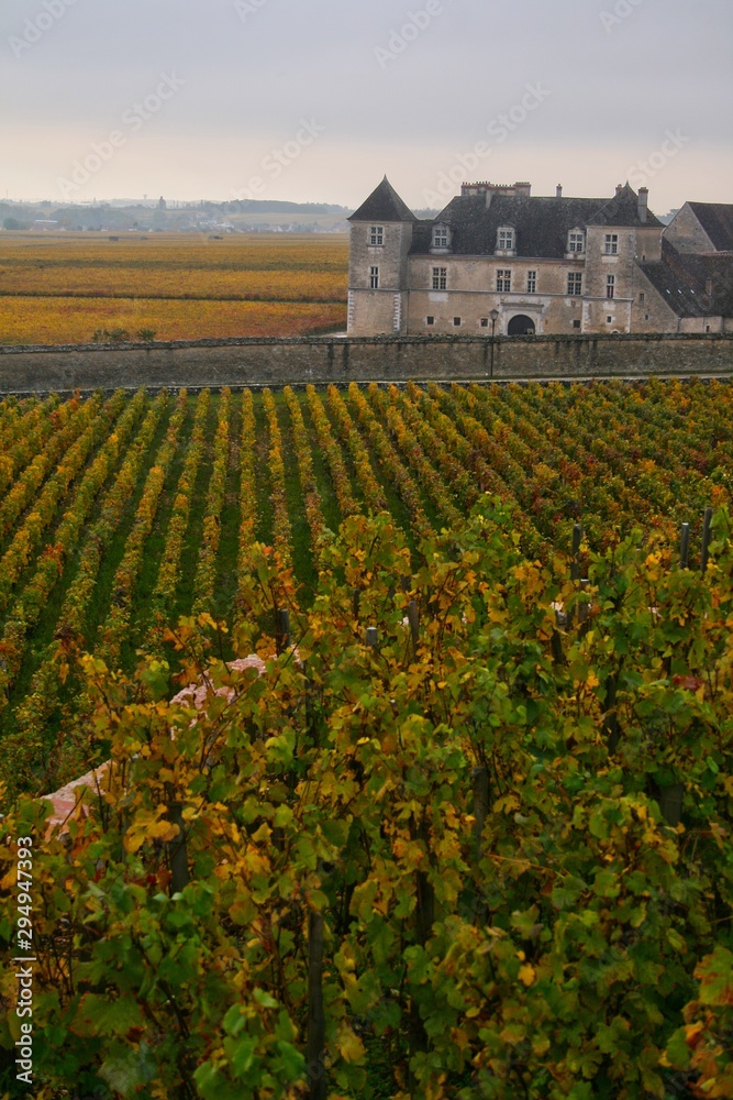 château du Clos Vougeot en côte d'Or, vin de Bourgogne