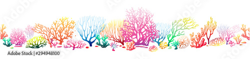 Border pattern with multicolor Corals photo