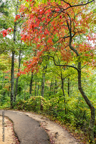Laurel Falls Trail at the Great Smoky Mountains National Park