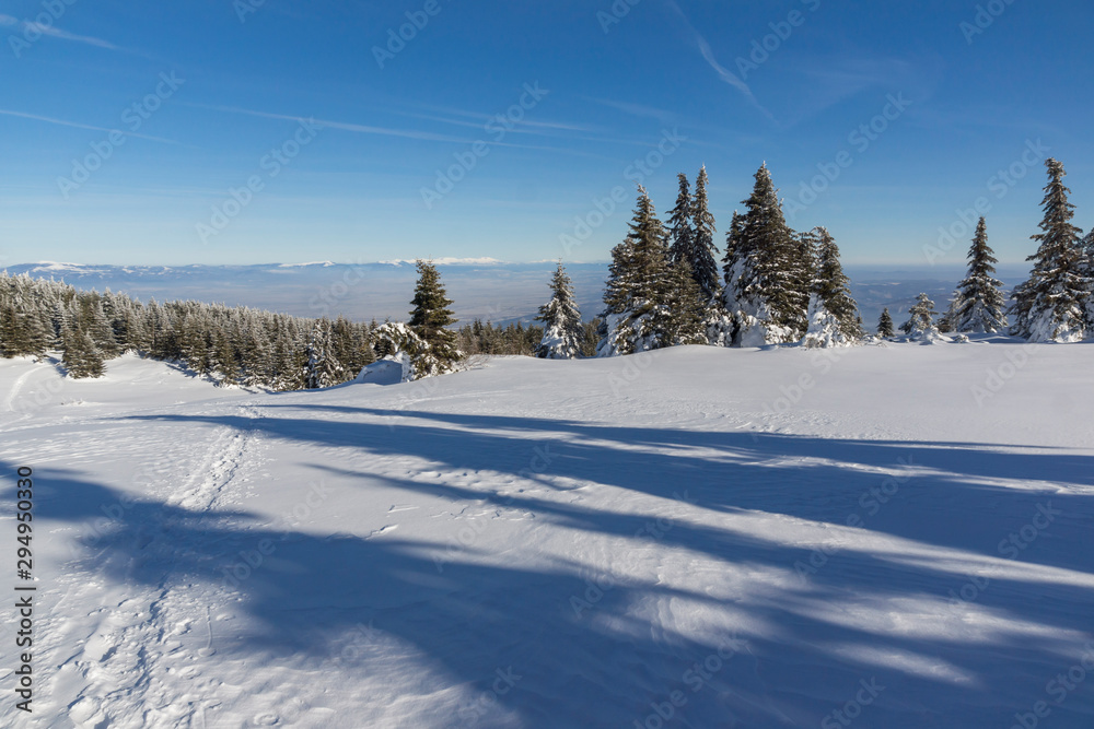 Winter Panorama of Vitosha Mountain, Bulgaria Winter Panorama of Vitosha Mountain, Bulgaria