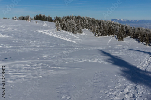 Winter Panorama of Vitosha Mountain, Bulgaria
