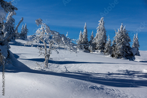 Winter Panorama of Vitosha Mountain, Bulgaria © Stoyan Haytov