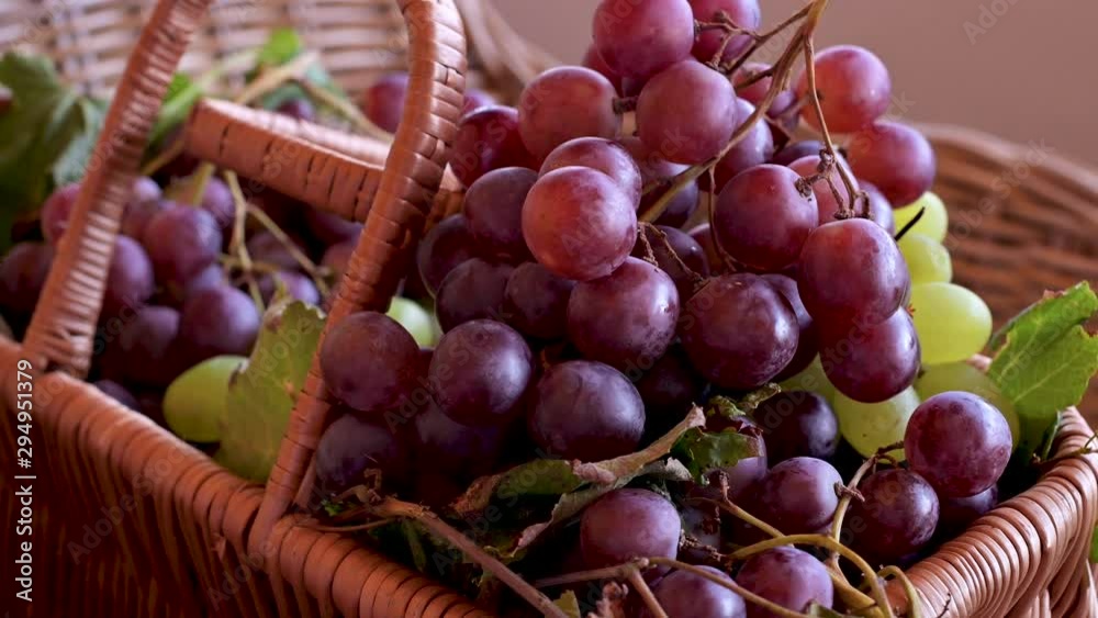 Ripe Grapes in a basket in a rustic house. Tuscany, Italy. Vintage Grapes for wine tasting. Italian Village. Eco-friendly products and agriculture. Ripe Grapes in a basket in a rustic house. Tuscany, Italy. Vintage Grapes for wine tasting. Italian Village. Eco-friendly products and agriculture.