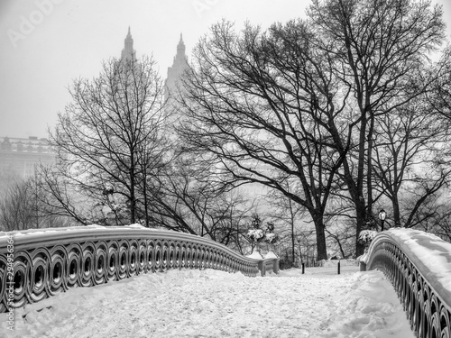 Central Park NYC Bow Bridge Snow