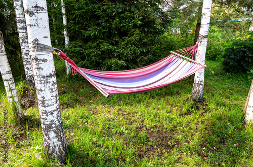 Hammock hanging in the trees in summer