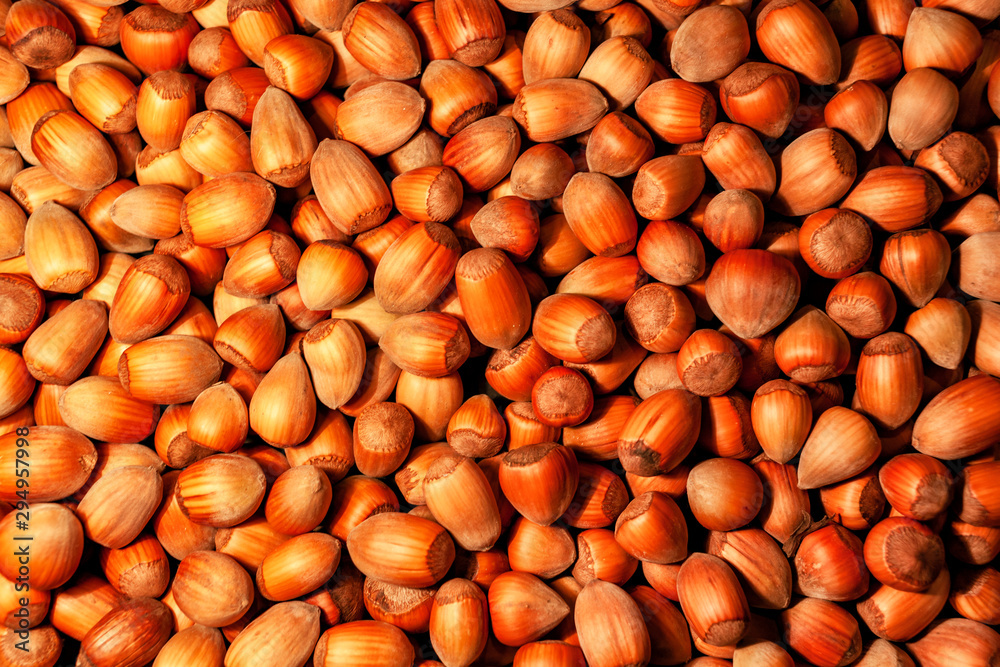 dried hazelnuts background