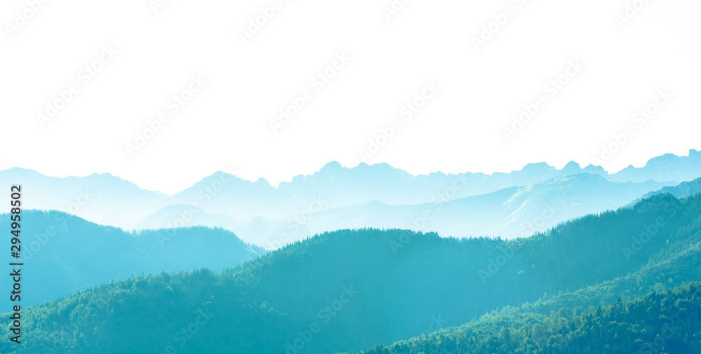 Misty mountains - thick fog covering spruce covered hills and rocky mountains in the background - mountains silhouette