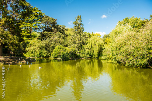 lake in the forest