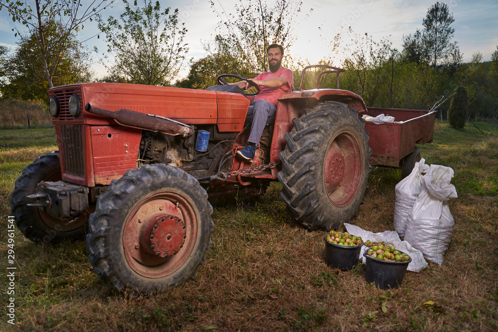Farmer ready to load walnuts with his tractor Farmer ready to load walnuts with his tractor
