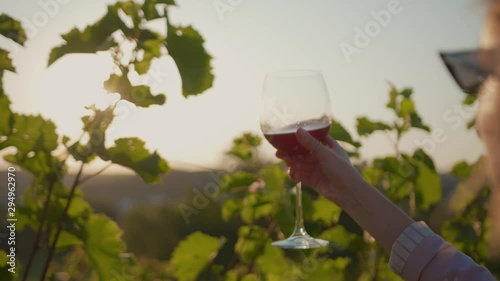 Shot back young woman stand the vineyards tasting raises the red wine glass grape at sunset organic connecting with nature agriculture sunny travel countryside field green rural slow motion