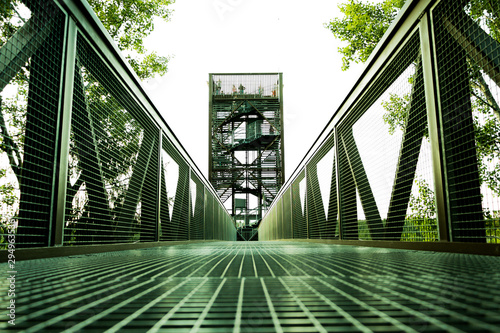 Laju takas (Laju Tree Top Walking Path) in Anyksciai, Lithuania