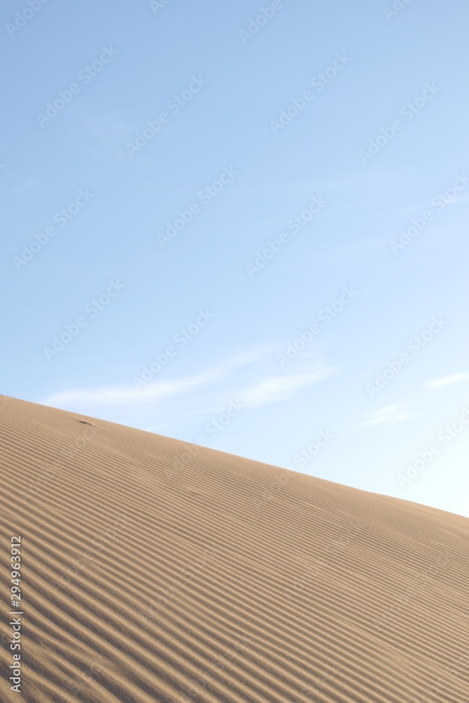 Naklejka premium Sand dunes and ripples in the desert on a clear, sunny day