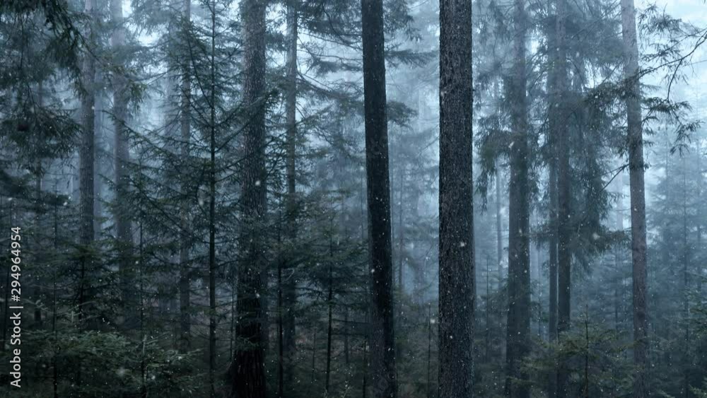Slow tilt shot of foggy forest during snowfall. Beautiful winter scene. Slow tilt shot of foggy forest during snowfall. Beautiful winter scene.