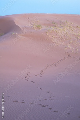 Foot tracks on the purple desert sands on a clear day at dusk.