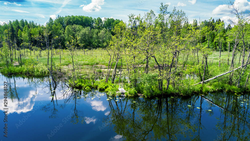 Fototapeta premium Summer landscape, green forest and blue lake from above..