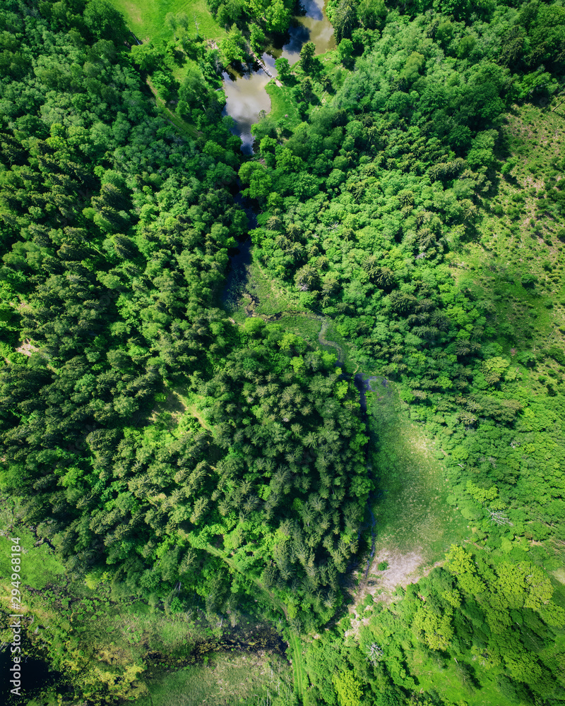Summer landscape, green forest from above.