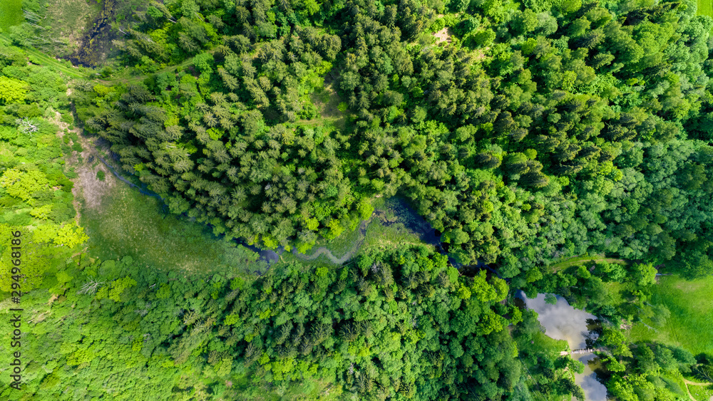 Obraz premium Summer landscape, green forest from above.