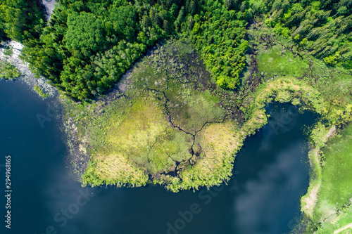 Vászonkép Summer landscape, green forest  and blue lake from above..