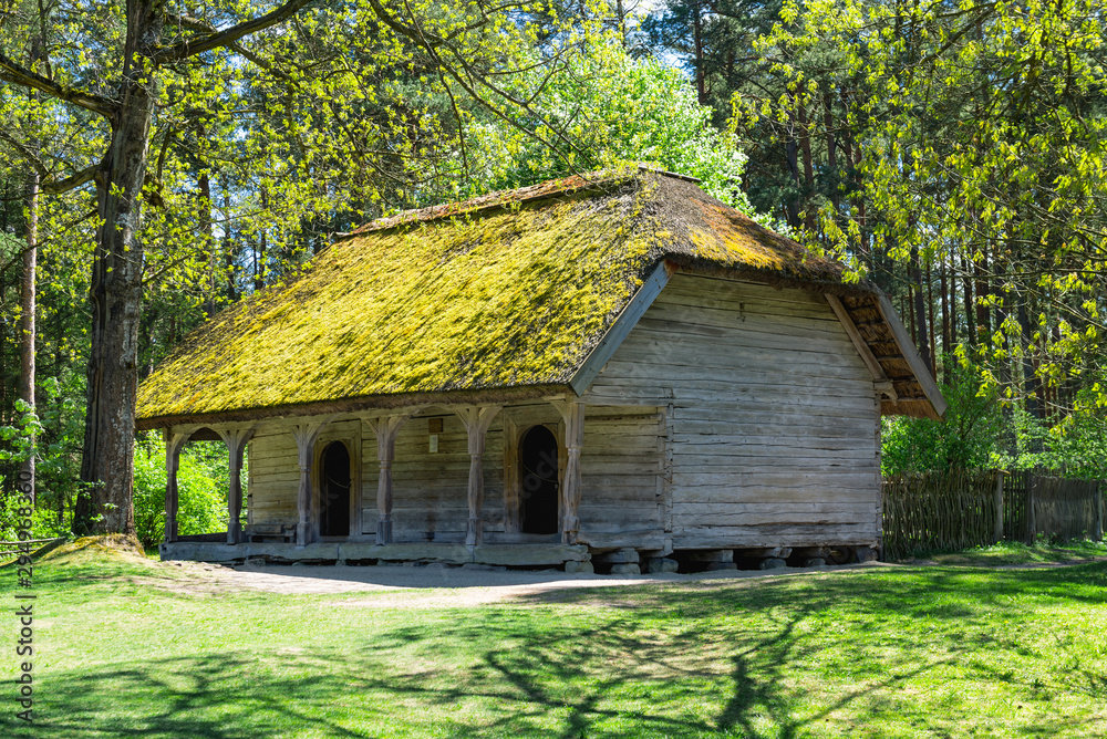 Fototapeta premium Vintage countryside log house with the yard on a sunny summer day.