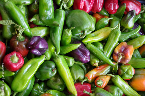Slika na platnu Close-up full frame view of freshly harvested organic peppers in a variety of co