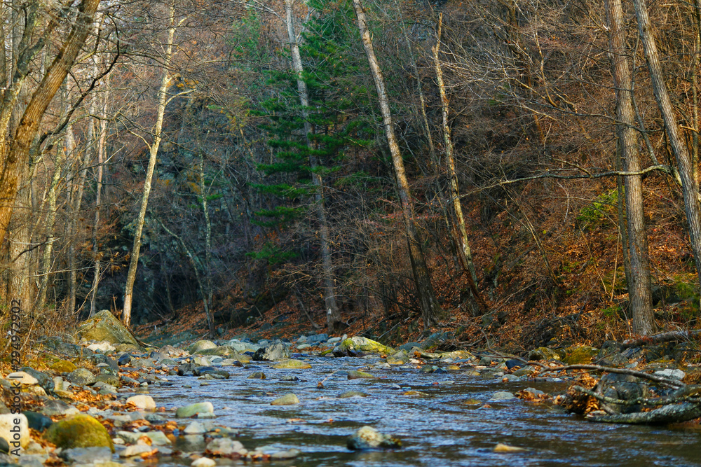 Beautiful landscape. A picturesque stream flows through the autumn forest among small stones.