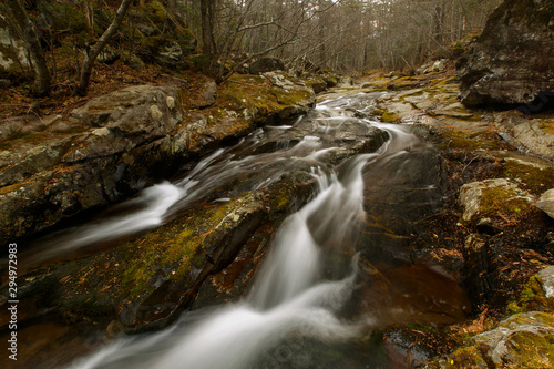 Fototapeta Naklejka Na Ścianę i Meble -  Beautiful landscape. A picturesque stream flows through the autumn forest among small stones.