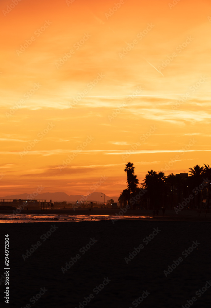 Fototapeta premium Perfect Sunset Palm trees in unit, Barcelona