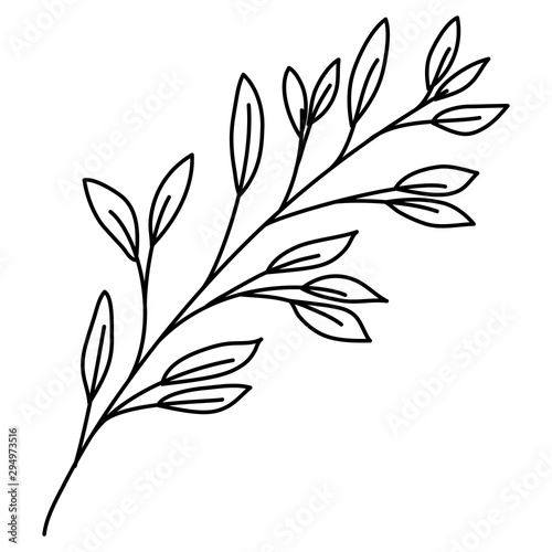 branch with leafs decorative icon