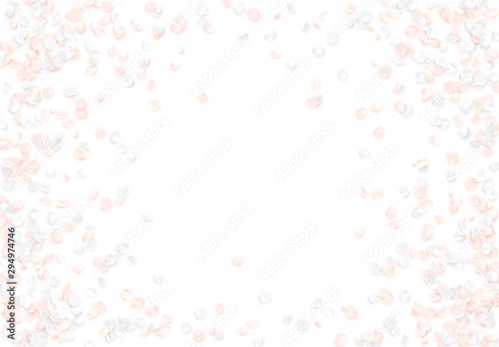 Background with delicate white pink flowers. Realistic petals flowers