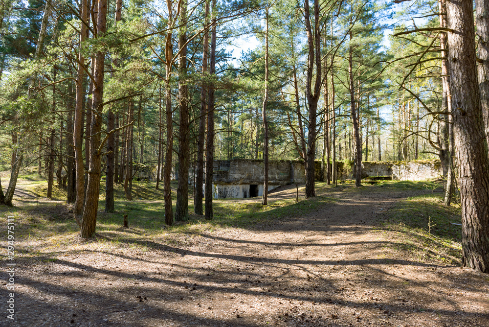 Old abandoned ruins of fortress in the forest, in Latvia. Old abandoned ruins of fortress in the forest, in Latvia.