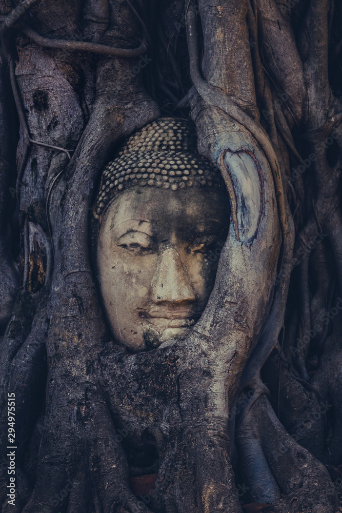Buddha head in tree In Ayutthaya province, Thailand