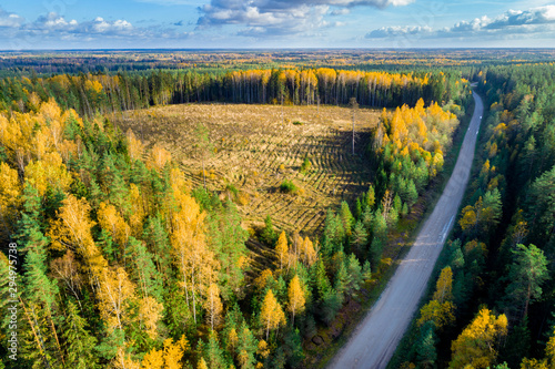 Aerial view of forest during colourful autumn season.