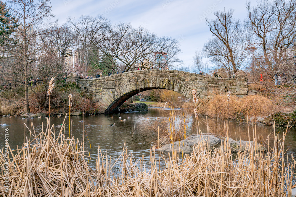 Fototapeta premium New York City, NY, USA - 25th, December, 2018 - Beautiful cold sunny day in Central Park lake with ducks near Gapstow Bridge.