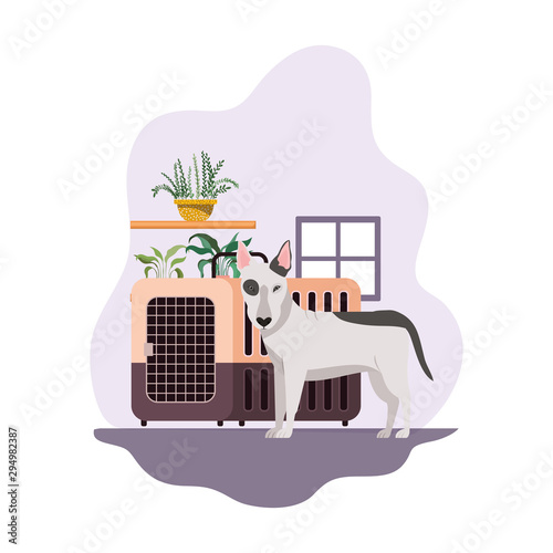 cute dog mascot with transport box in the house
