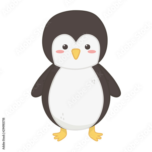 penguin polar animal bird icon © Stockgiu