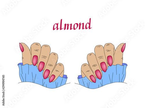 Female hand care. Different shape of nails during manicure: square, oval, almond, square oval, etc. On a white background. The design of the fingers. Vector illustration.